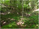 Planina (Dolnja Planina) - Hunting cottage on Planinska gora